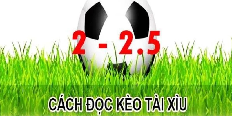 Cách đọc kèo tài xỉu 2-2.5