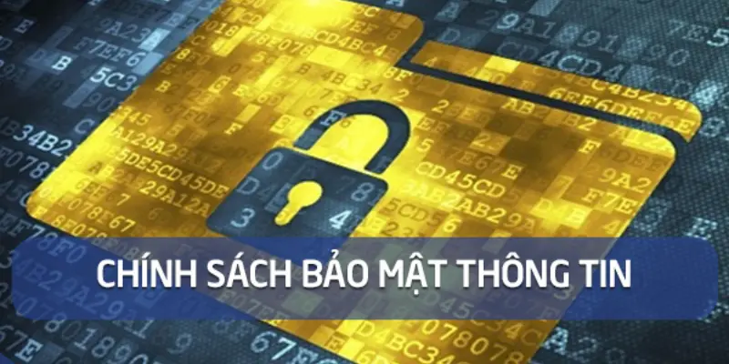 Sử dụng thông tin đã thu thập trong chính sách bảo mật 888B 